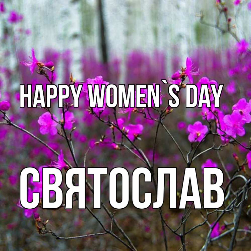 Greetings card с именем, Святослав happy women`s day дикие цветы Greetings with text for free download 